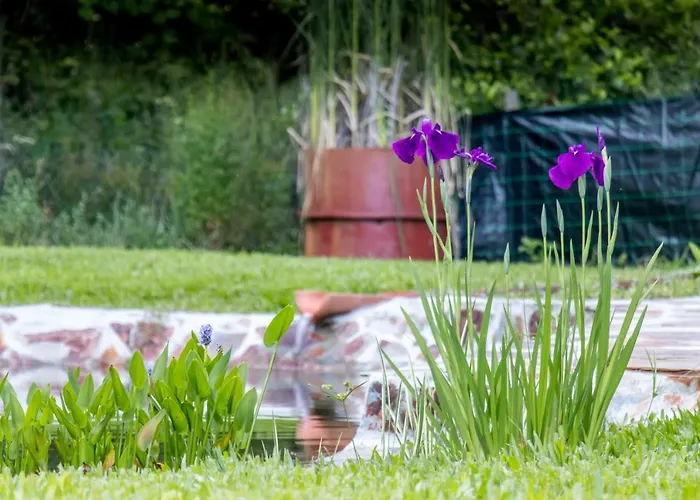 Casa Do Lagareiro Casa de Férias Ponte de Lima